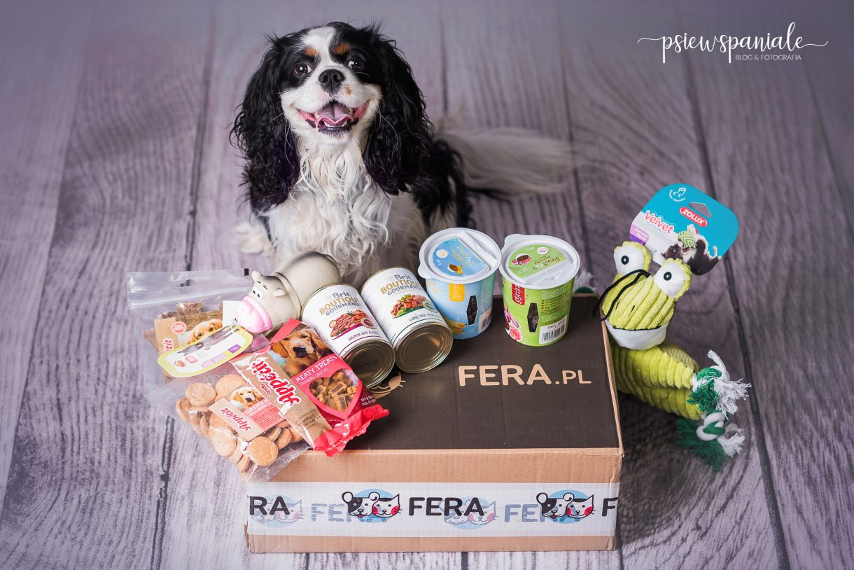 Nikon testuje zabawkę dla psa od Fera.pl